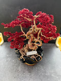 Crimson Ember Bonsai - image 1