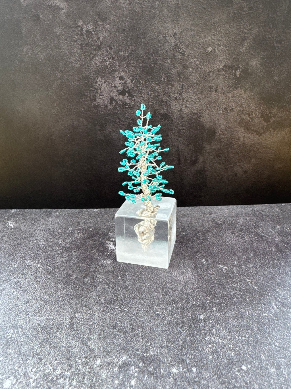Tiny Tranquility Bonsai Collection - image 1