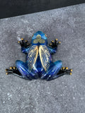 Midnight Dragonfly Tree Frog - image 1