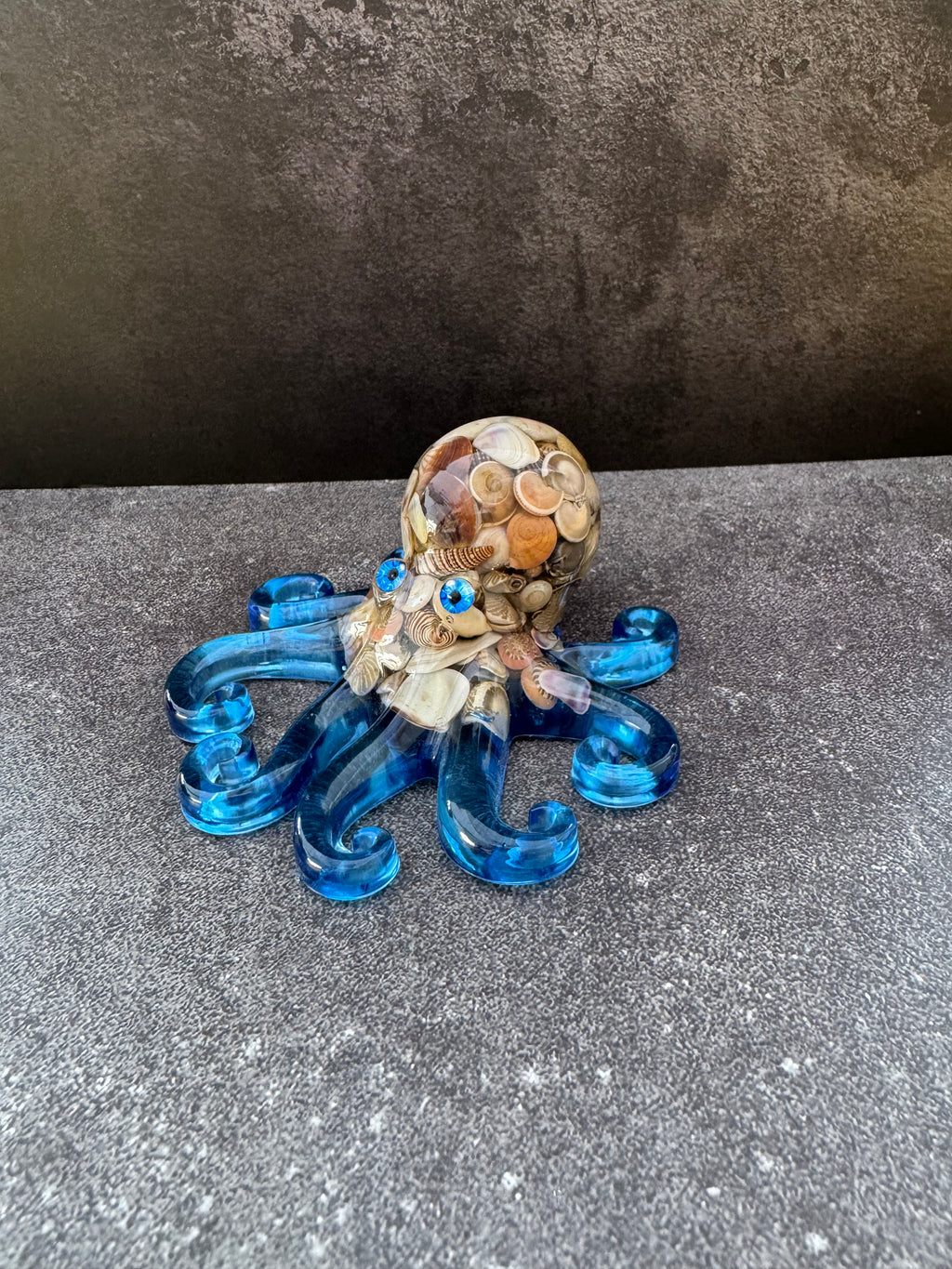 Seaside Treasure Octopus - image 1