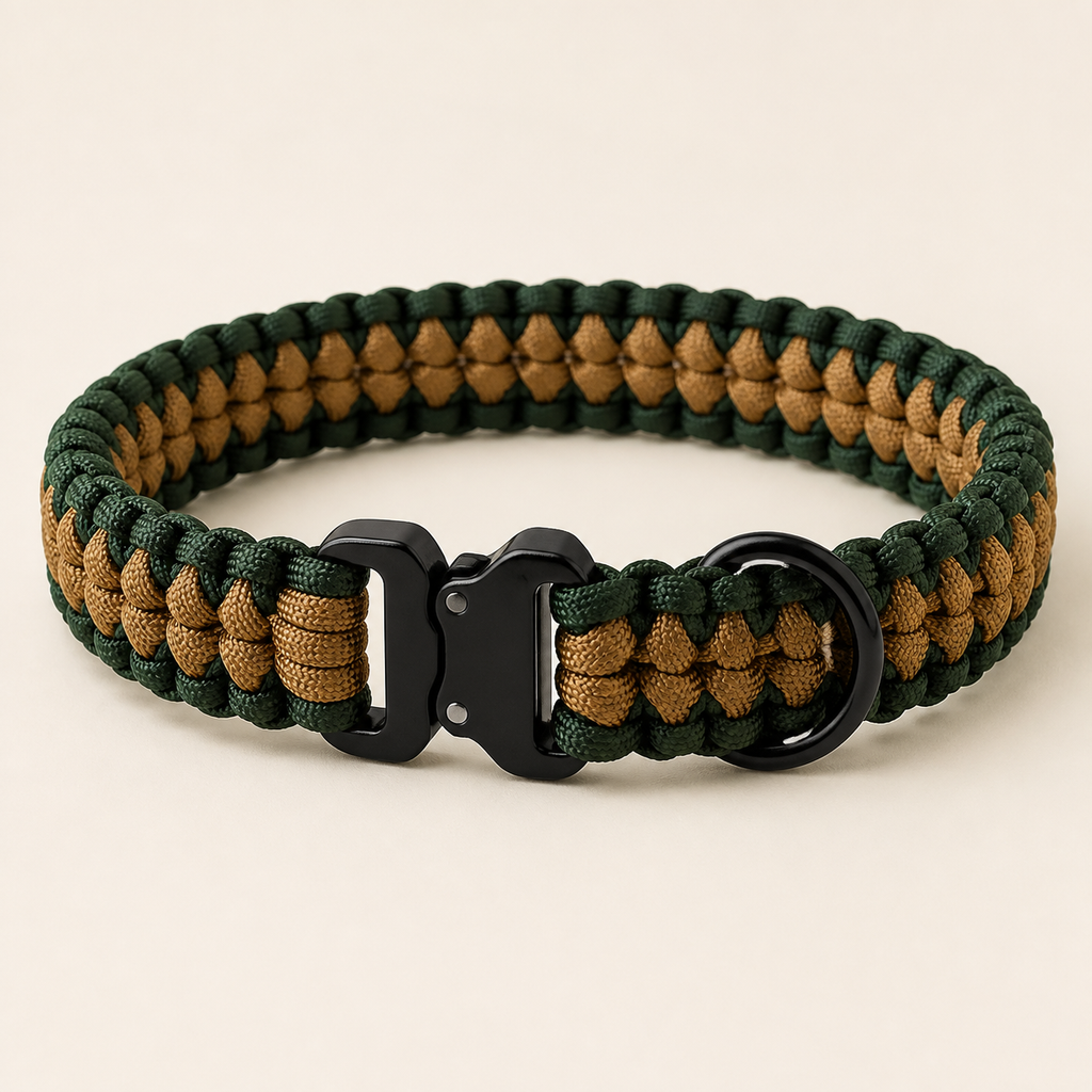  - image 3